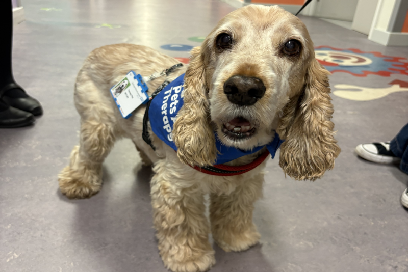 A pawsome visit to the Children’s Ward